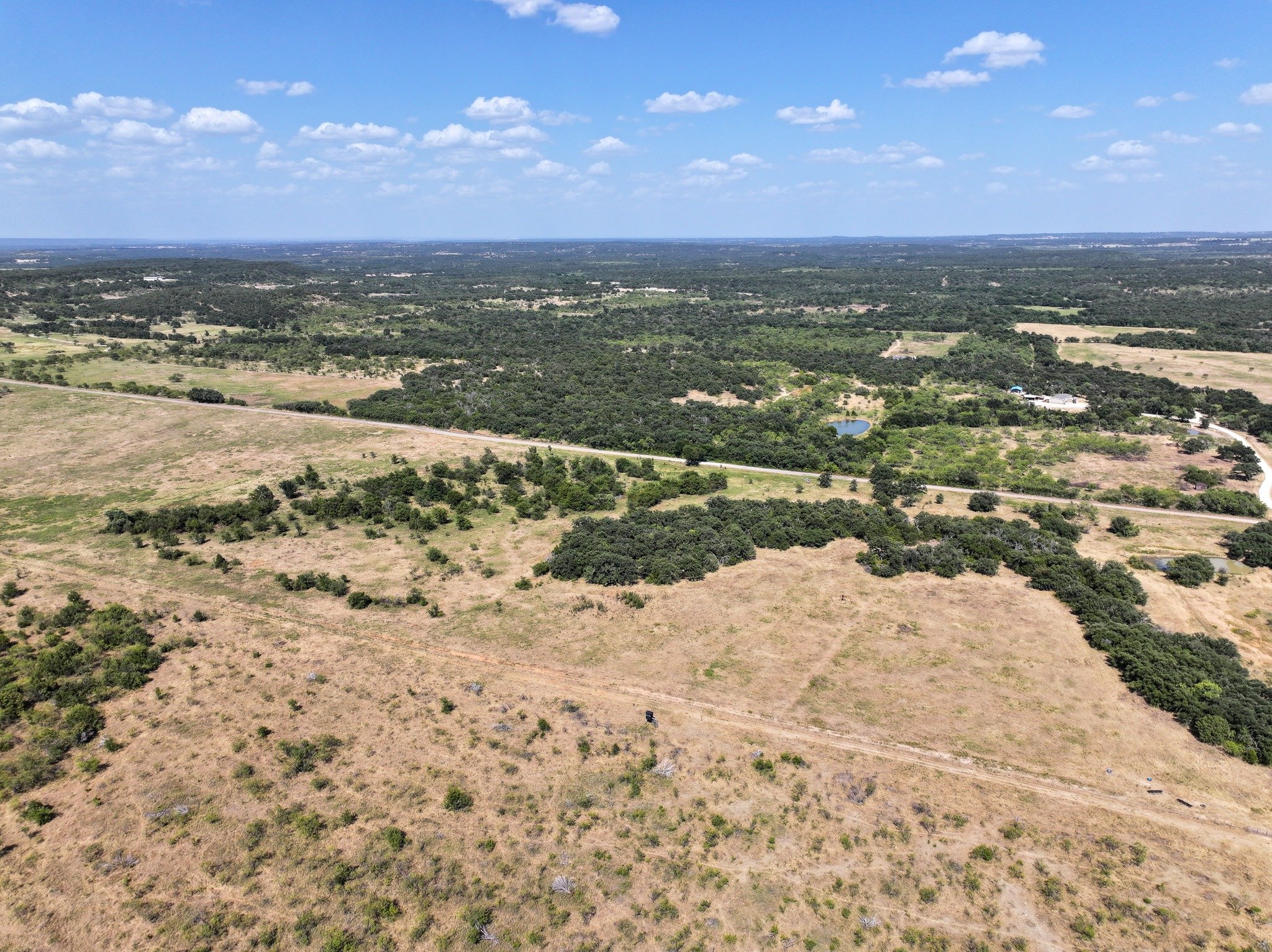 Pasture and tree cover