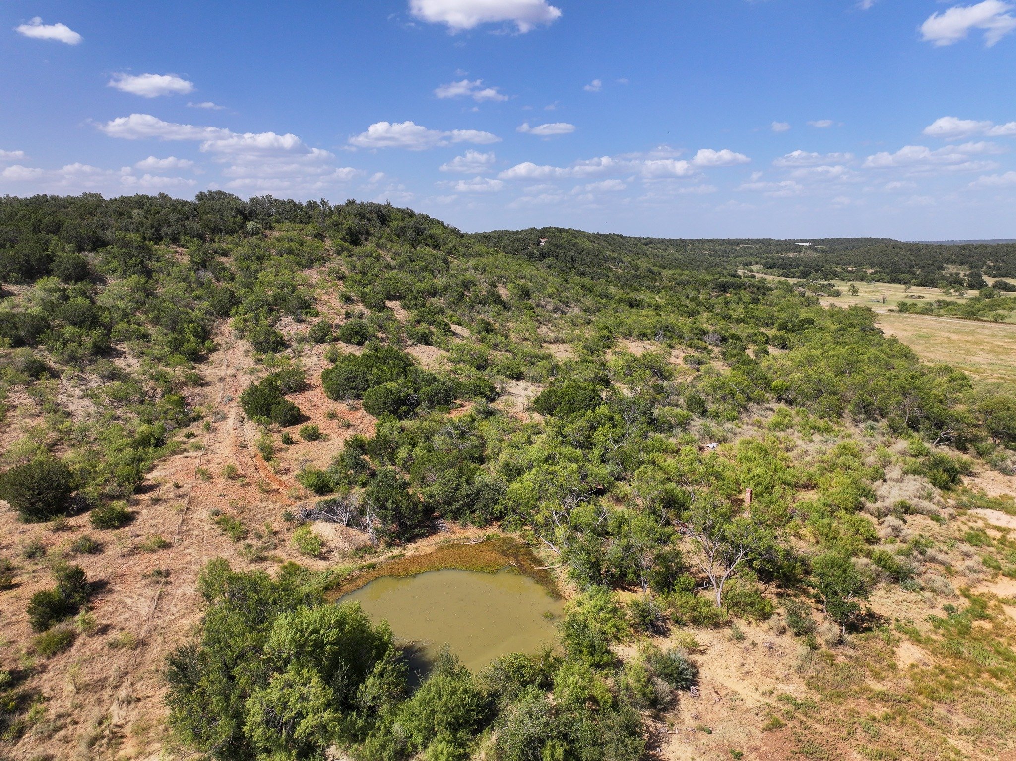 Pond beside wooded terrain
