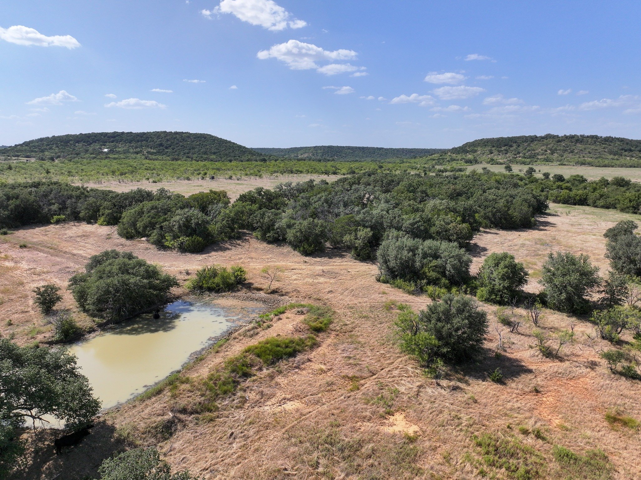 Pond and surrounding landscape