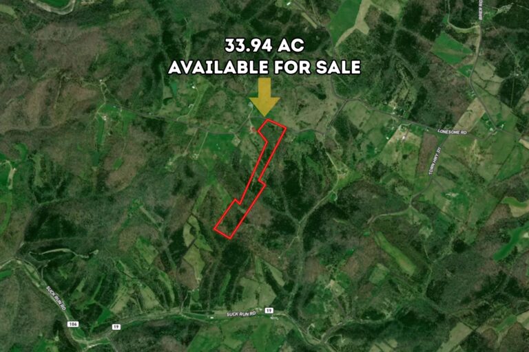 1.0 Shirley Fletcher, Williamsburg OH (772x498)