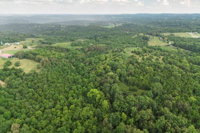 1.10 Shirley Fletcher, Williamsburg OH _ Aerial