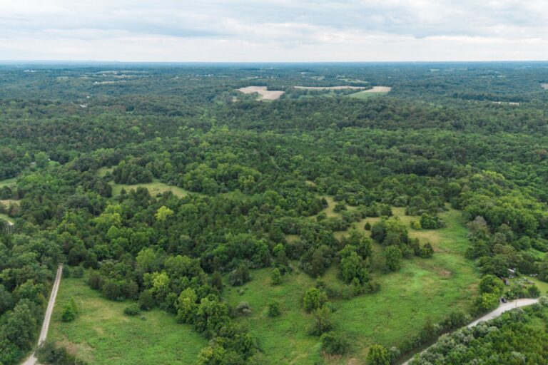 1.11 Shirley Fletcher, Williamsburg OH _ AV