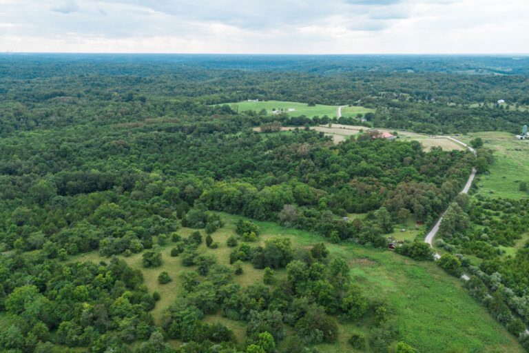 1.12 Shirley Fletcher, Williamsburg OH _ AV2