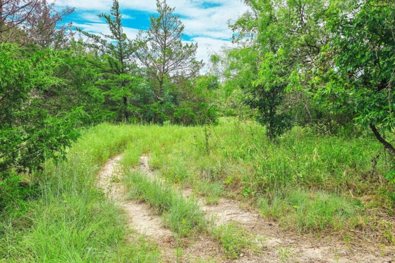 1.13 R Williams_Navarro TX WEB (1200 x 800 px)