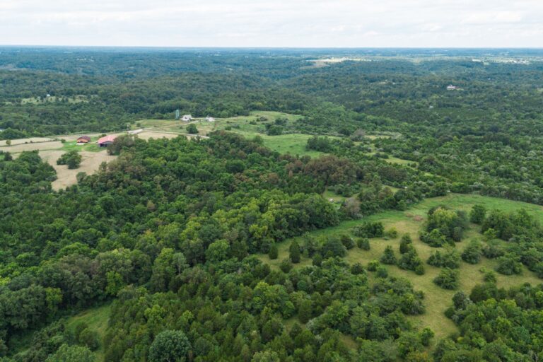 1.13 Shirley Fletcher, Williamsburg OH _ AV3