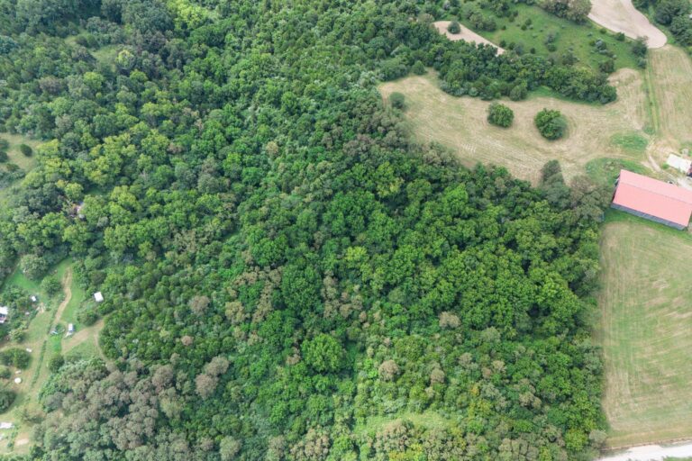 1.2 Shirley Fletcher, Williamsburg OH _Aerial View 2