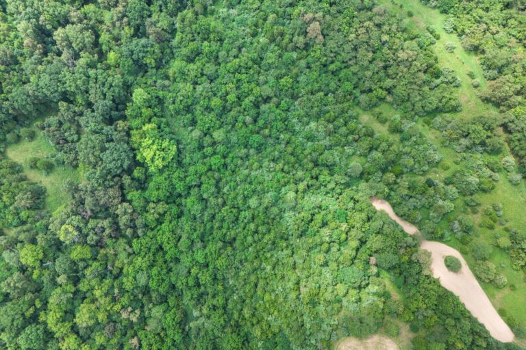 1.3 Shirley Fletcher, Williamsburg OH _ Aerial view3