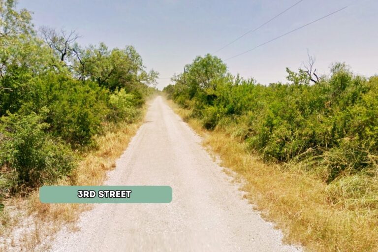 1.4 Justin Stacy_Christine, TX(0.72 LOT E) (1200 x 800 px)