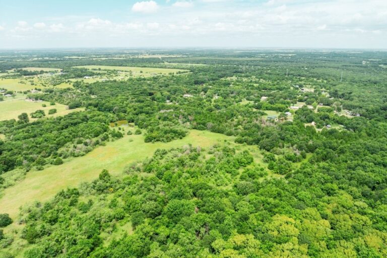 1.5 R Williams_Navarro TX WEB (1200 x 800 px)