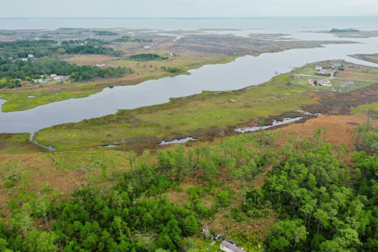 1.7 Sandra Frazer_ Gloucester, VA Web (1200 x 800 px)