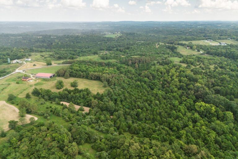 1.9 Shirley Fletcher, Williamsburg OH _ Aerial View6