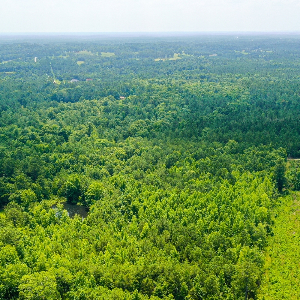 Trusted land company, How to buy land property