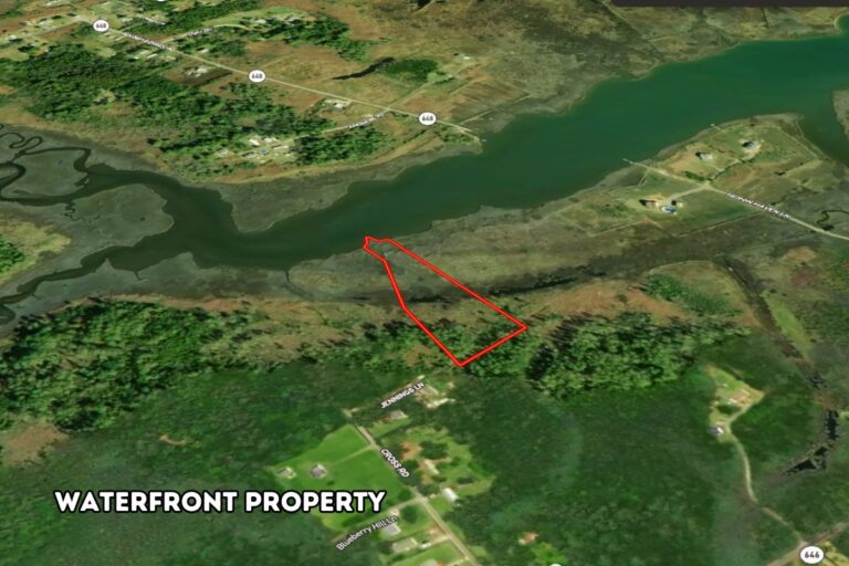 2.0 Sandra Frazer_ Gloucester, VA Web (1200 x 800 px)