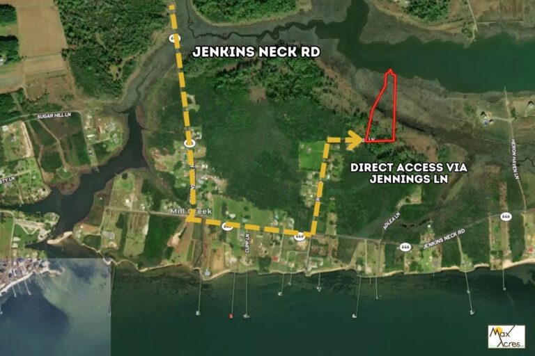 2.2 Sandra Frazer_ Gloucester, VA Web (1200 x 800 px)