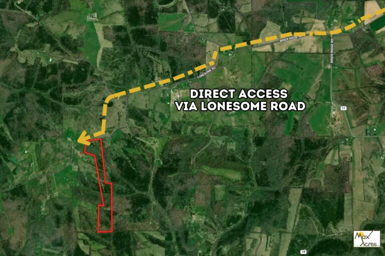 4.0 Shirley Fletcher, Williamsburg OH (772x498)