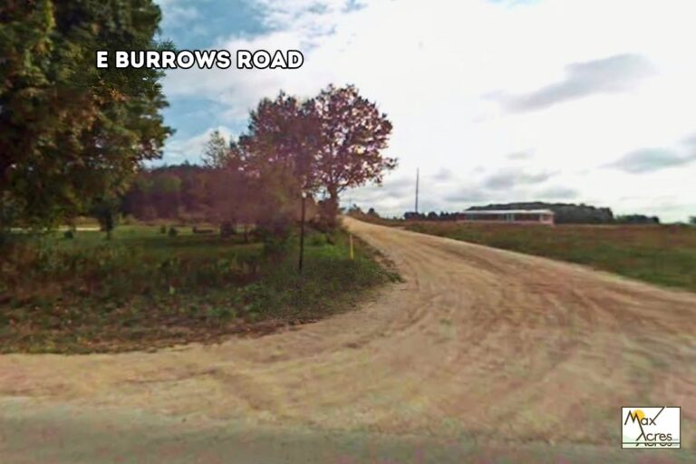 4.1 Jason Youngs _ MI _ Street View (772x498)