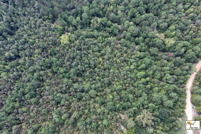 5.13 Linda Stoker_Marion TX (772x498)