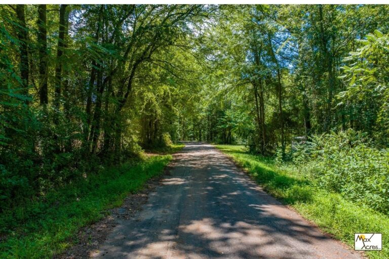 6.16 Shoal Creek Campground_Lavonia, GA (772x498)