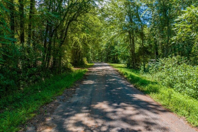 6.16 Shoal Creek Campground_Lavonia, GA (772x498)