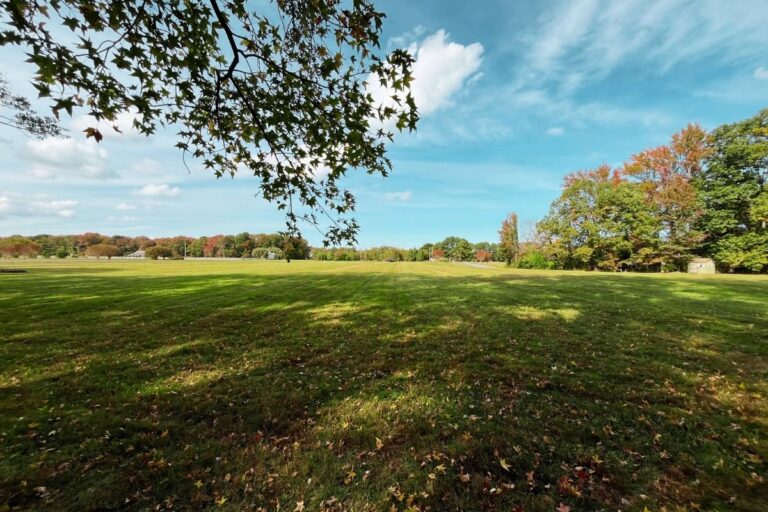 ALL1 Donald Hart_Northumberland VA (1200x800)