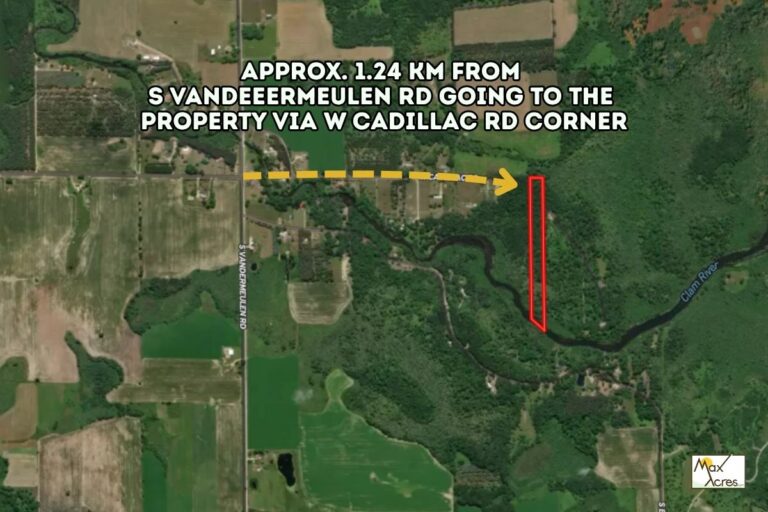 Steve Davis _ Missaukee MI _ Street View from main st(772x498)