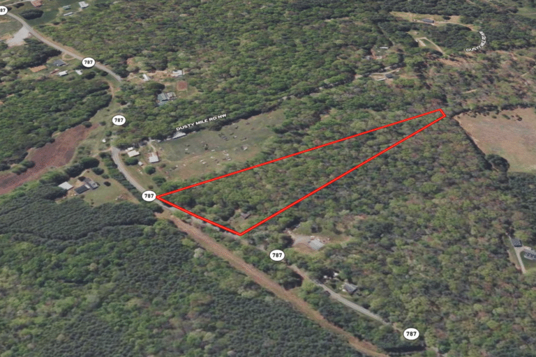 1.1 Curtis & Ashley Dalton _ Floyd, Virginia _ Web (1200 x 800 px)