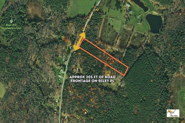 1.2 Carole Parias _ Stamford NY - Road frontage