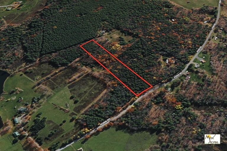 1.3 Carole Parias _ Stamford NY - Satellite View