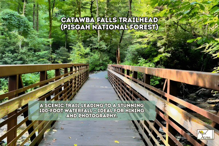 1.5 Margaret Shark _ Margaret Shark WEB (1200 x 800 px)