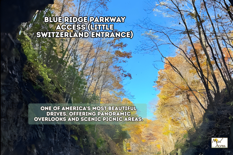 1.6 Margaret Shark _ Margaret Shark WEB (1200 x 800 px)