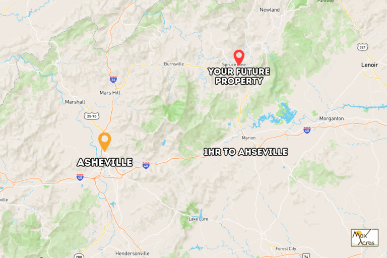 1.7 Margaret Shark _ Margaret Shark WEB (1200 x 800 px)