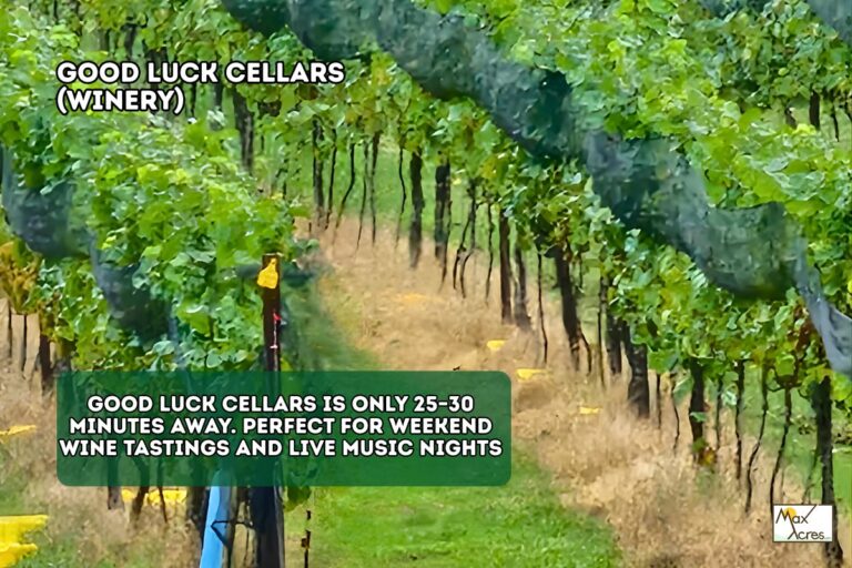 1.8 1.3 Doyel Cox _ Heathsville,VA WEB (1200 x 800 px)