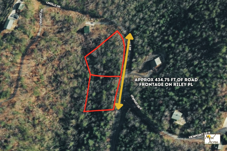 2.0 Margaret Shark _ Margaret Shark WEB (1200 x 800 px)