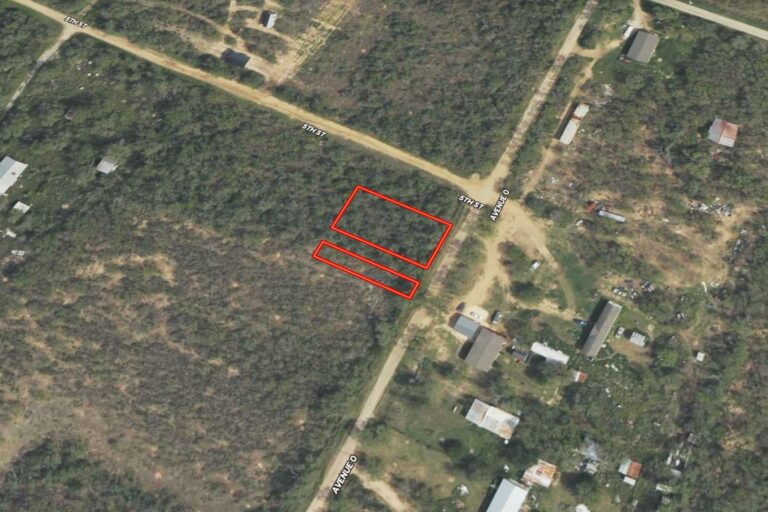 2.1 Justin Stacy_Christine, TX (0.32 Lot) N1 Web (1200 x 800 px)