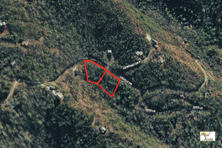 2.1 Margaret Shark _ Margaret Shark WEB (1200 x 800 px) (1)