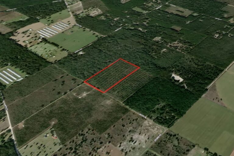 1.2 James Cusic _ Suwannee, FL _ Property Aerial View