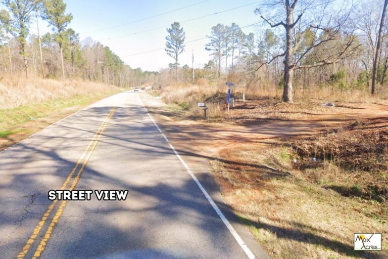 1.3 Nicholas Nero _ Wedgefield,SC, _ Street View (2)