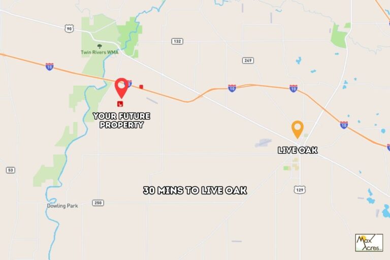 3.0 James Cusic _ Suwannee, FL _ Live Oak