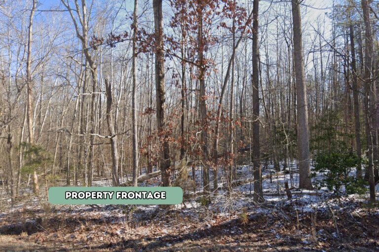 Arlene Hodges, Glen VA 8.59 AC Frontage