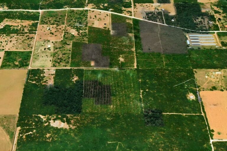 James Cusic _ Suwannee, FL _ Google View