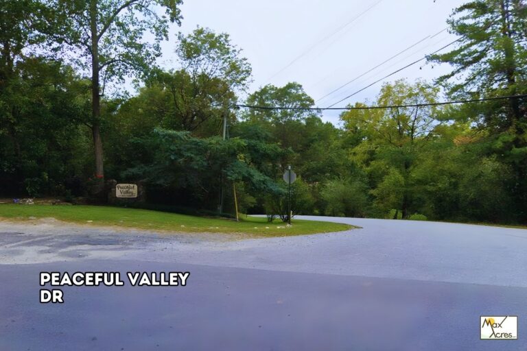 Jason Meaders _ White,Georgia _ Street View