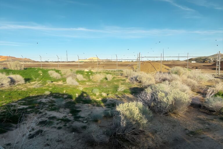 4.0 Phyllis Martinez, _ KERN CA _ Photo1