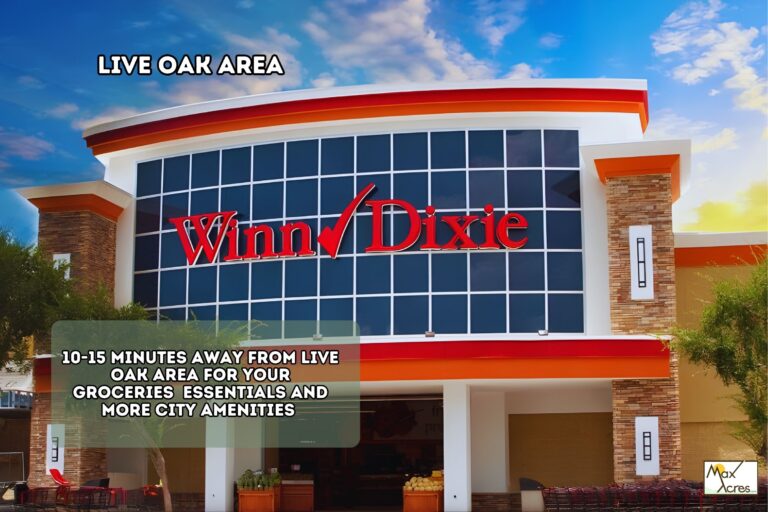 4.2 James Cusic _ Suwannee, FL _ Smithgall Woods State Park