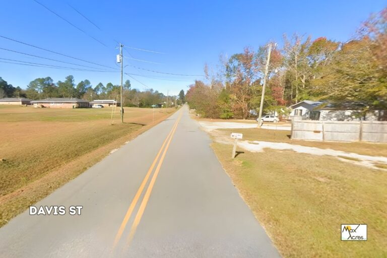 1.2 Willie Wadley, Screven GA _ Rd Frontage