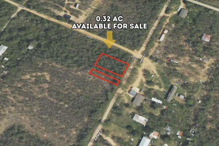 2.1 Justin Stacy_Christine, TX (0.32 Lot) N1 Web | Aerial