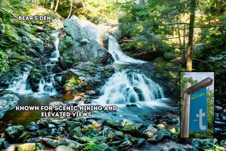 3.0 Austen Bartels, Franklin MA _ Bear_s Den