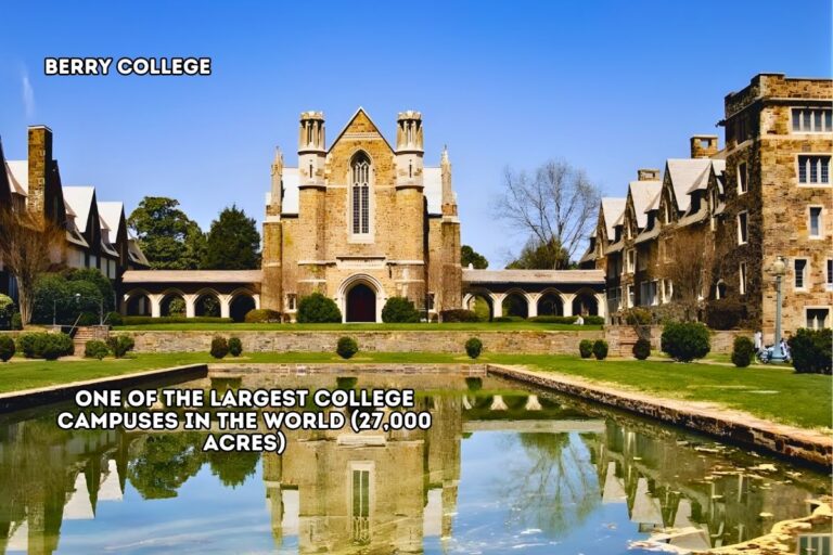 3.0 Nolene Pruitt, Floyd GA _Berry College