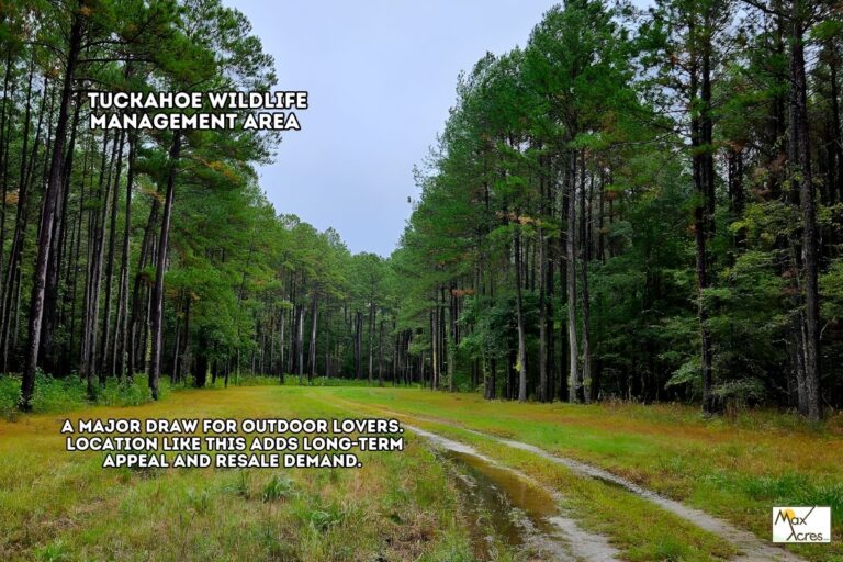 3.0 Willie Wadley, Screven GA _ Tuckahoe