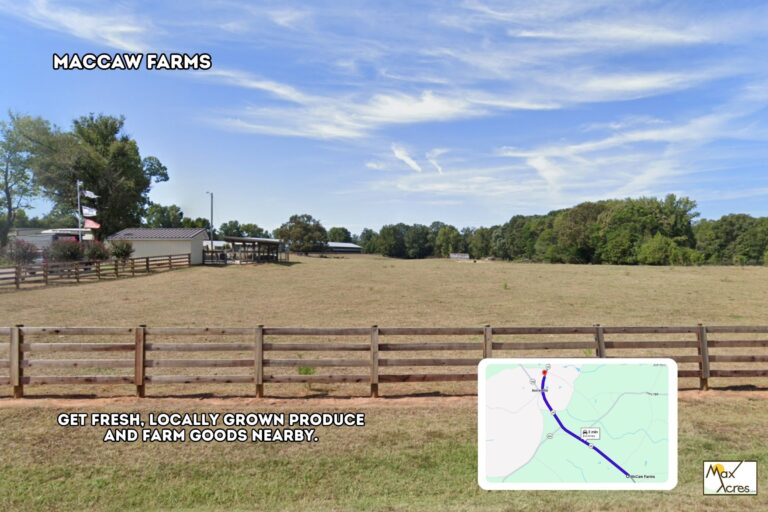 3.1 Thomas Sutherland _ Hwy 28 N,Iva SC _ Farm