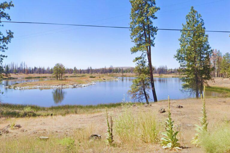 Edward Agee, Medical Lake WA WEB